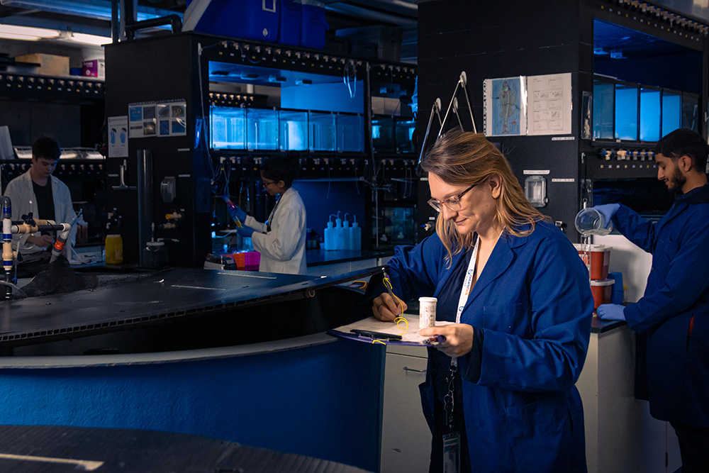 Ontario Tech University research laboratory of Dr. Denina Simmons, Canada Research Chair in Aquatic Toxicology, and Associate Professor, Faculty of Science.